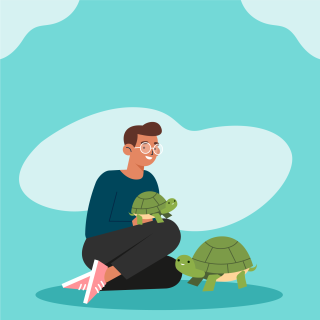 Tortugas: El hogar perfecto para tu mascota acuática